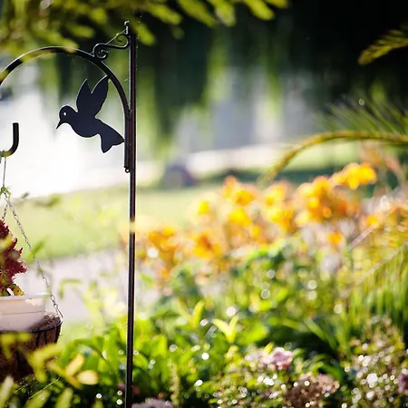 Bed and Breakfast Casablanca Panzio Tata